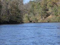 20251007_114504.jpg 20251007_114504.jpg