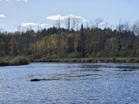 20251007_133307.jpg 20251007_133307.jpg