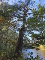 20251007_135438.jpg 20251007_135438.jpg