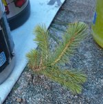 2025-09-02 11-06-22_P1070292.JPG