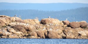 2025-09-02 14-46-45_IMG_3559.JPG