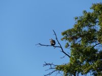 P1040136.JPG P1040136.JPG