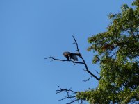 P1040138.JPG P1040138.JPG