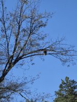 20251008_153911.jpg 20251008_153911.jpg