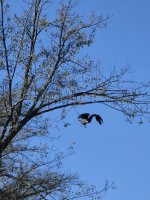 20251008_153915.jpg 20251008_153915.jpg