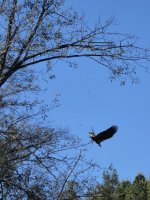 20251008_153915(0).jpg 20251008_153915(0).jpg