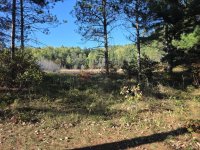 20251008_160357.jpg 20251008_160357.jpg