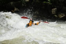 DSC_0246 (1).JPG DSC_0246 (1).JPG