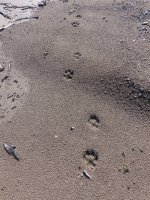 2025-09-03 09-35-06_P1070312.JPG