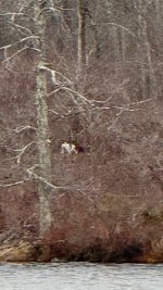 IMG_3957.jpeg IMG_3957.jpeg