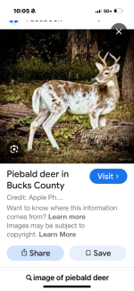 IMG_3962.png IMG_3962.png