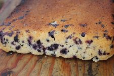 IMG_6822.JPG IMG_6822.JPG