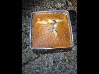 IMG_6258.png IMG_6258.png