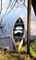 SRT with Deal Bucket seat.JPG