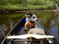 DSCN0583.jpeg DSCN0583.jpeg