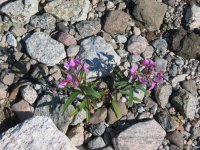 2025-09-04 12-03-58_IMG_3619.JPG