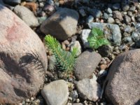 2025-09-04 12-06-11_IMG_3622.JPG