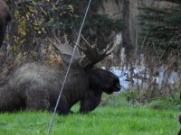 DSCN0038.jpeg DSCN0038.jpeg