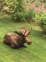 IMG_0534.jpeg IMG_0534.jpeg