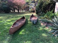 IMG_2809.jpeg IMG_2809.jpeg