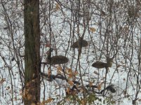 20251210_092835.jpg 20251210_092835.jpg