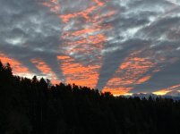 IMG_2772.jpeg IMG_2772.jpeg