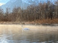 IMG_2794.jpeg IMG_2794.jpeg