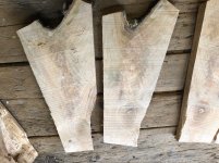 IMG_0276.jpeg IMG_0276.jpeg