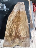 IMG_3094.jpeg IMG_3094.jpeg