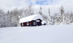 Tug Hill snow image.jpeg