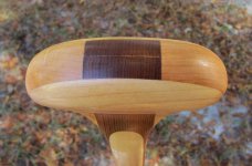 IMG_1667 cr en sml.jpg