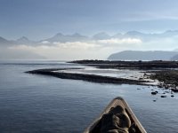 IMG_2895.jpeg IMG_2895.jpeg