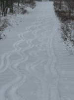 IMG_4216.jpeg IMG_4216.jpeg