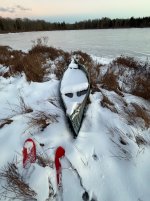 IMG_4099.jpeg IMG_4099.jpeg