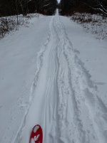 IMG_4089.jpeg IMG_4089.jpeg