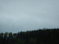 1767556445362.png 1767556445362.png