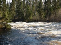 DSCN3098.JPG DSCN3098.JPG