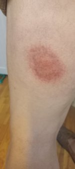 20240621_183459.jpg 20240621_183459.jpg