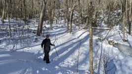 1768083533912.jpeg 1768083533912.jpeg