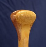 Z61_0869-topaz-rawdenoise-sharpen cr en sml.jpg