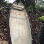 IMG_3483.JPG IMG_3483.JPG