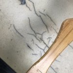 IMG_3484.JPG IMG_3484.JPG