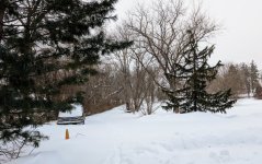 Jan 26-27 2026 snow storm3.jpg