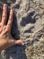 IMG_6286.jpeg IMG_6286.jpeg