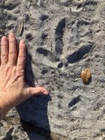 IMG_6281.jpeg IMG_6281.jpeg