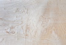 Z61_1917-topaz-rawdenoise cr en sml .jpg Z61_1917-topaz-rawdenoise cr en sml .jpg