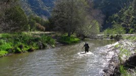 IMG_0171.jpg IMG_0171.jpg