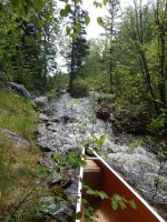 DSCN3731 (3).jpeg DSCN3731 (3).jpeg