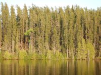 DSCN3744.jpeg DSCN3744.jpeg