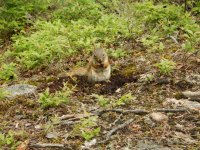 DSCN3767.jpeg DSCN3767.jpeg